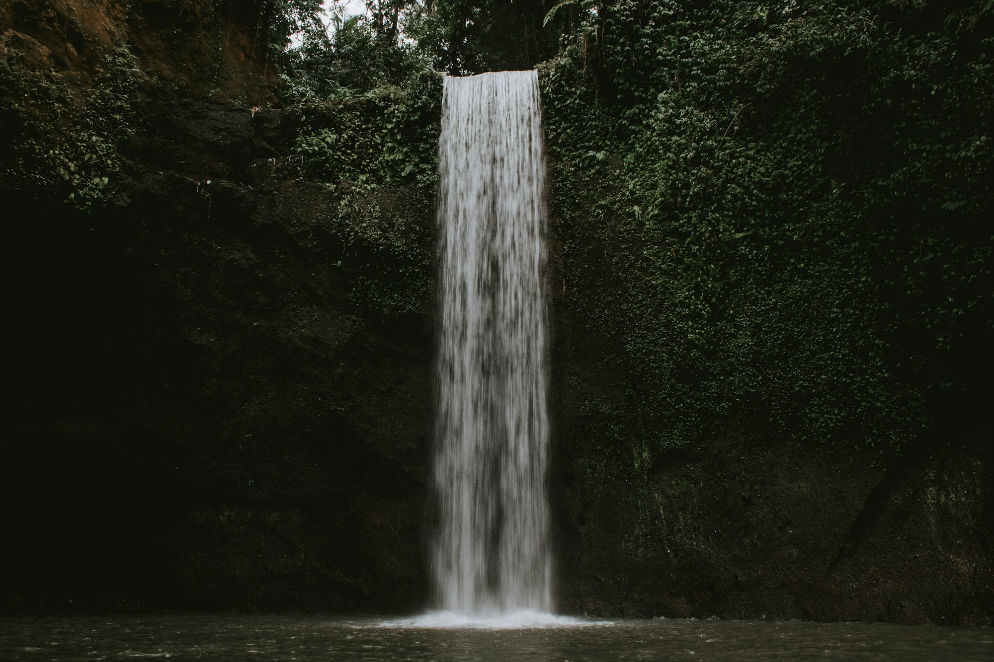 Tropical waterfall jungle