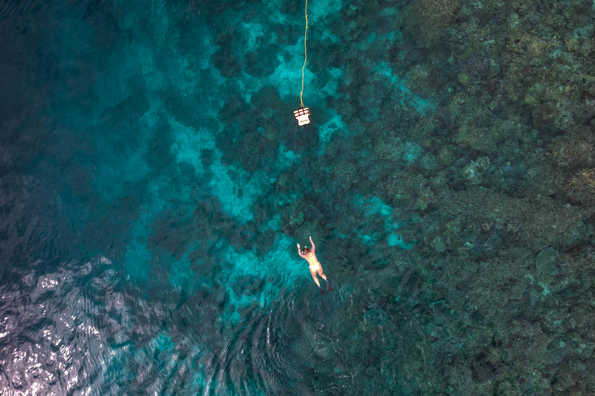 Snorkeling clear water reef