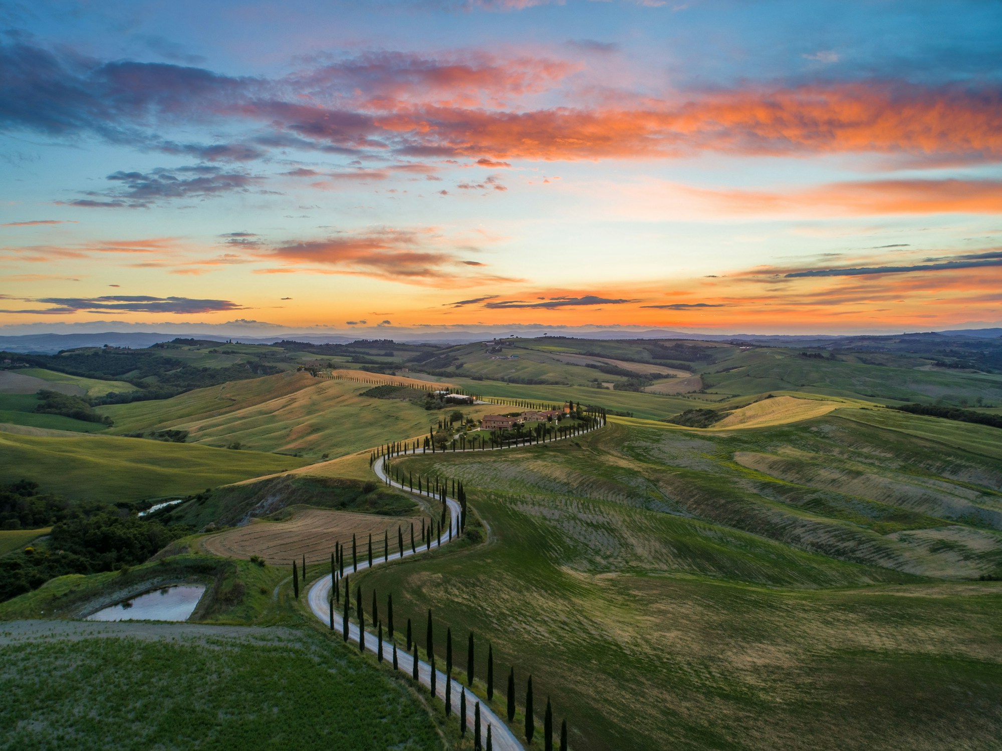 Tuscany rolling hills cypress