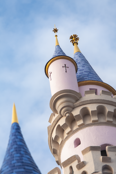 Disneyland Resort