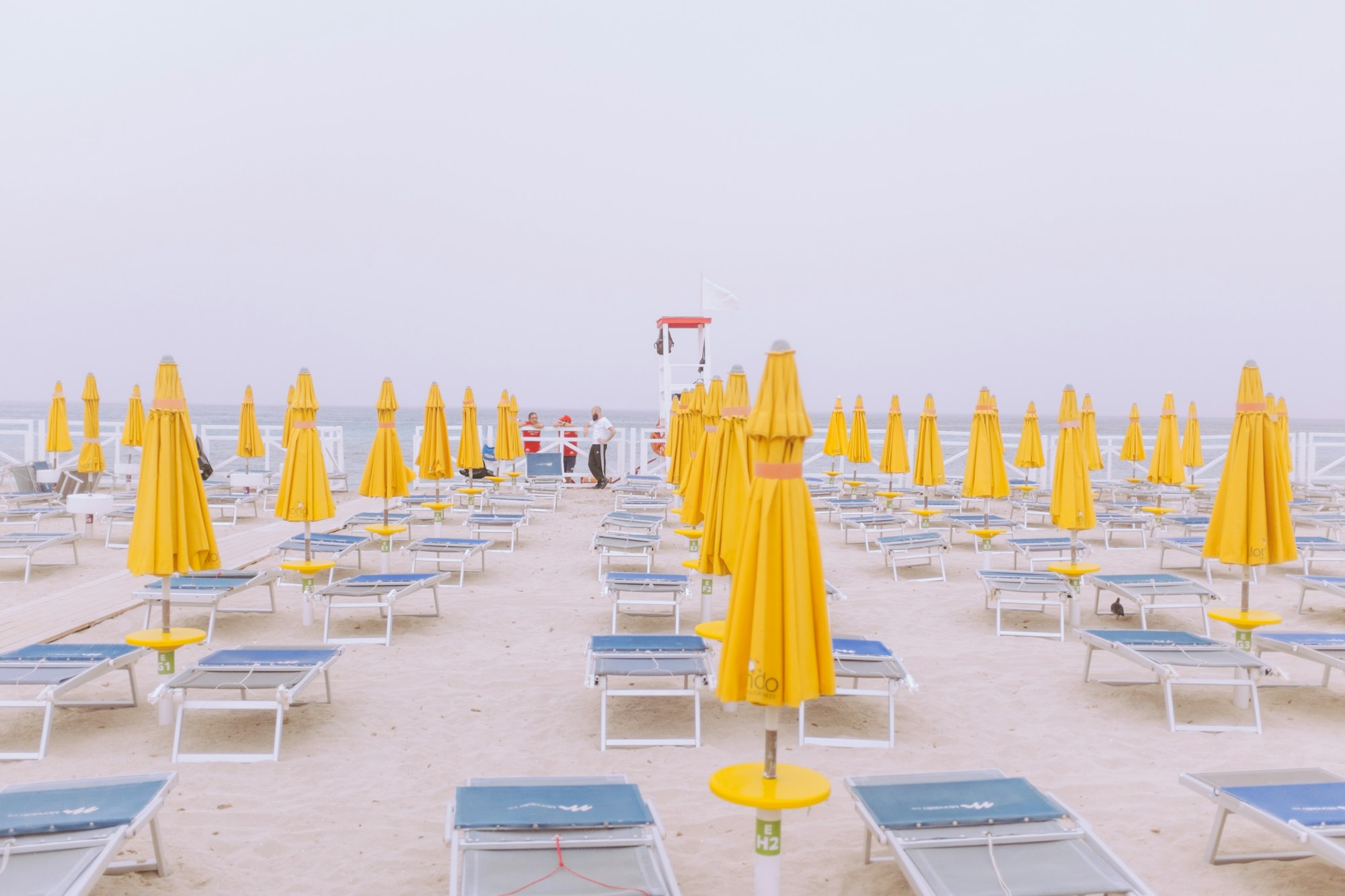Beach umbrellas loungers row sea